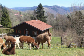 Гостиница Chalet Les Bouleaux  Ла-Бресс